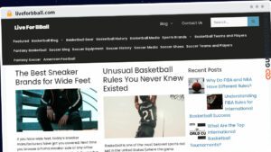 Publish Guest Post on liveforbball.com