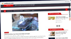 Publish Guest Post on pmlforum.com