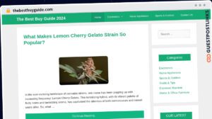 Publish Guest Post on thebestbuyguide.com