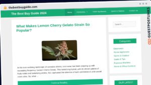 Publish Guest Post on thebestbuyguide.com