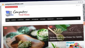 Publish Guest Post on computersandblues.com
