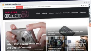 Publish Guest Post on mallina-studio.com