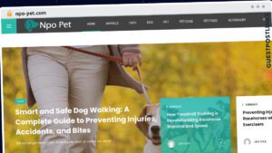 Publish Guest Post on npo-pet.com