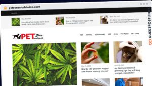Publish Guest Post on petroneworldwide.com