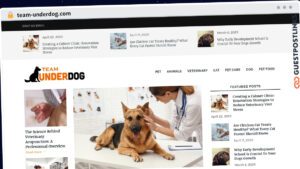 Publish Guest Post on team-underdog.com