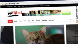 Publish Guest Post on uplandbirddogs.com