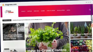 Publish Guest Post on bizgrows.com