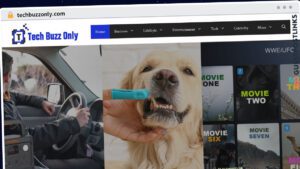 Publish Guest Post on techbuzzonly.com