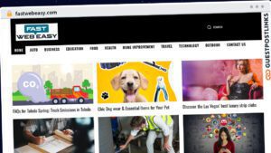 Publish Guest Post on fastwebeasy.com