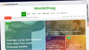 Publish Guest Post on wordofmag.com
