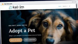 Publish Guest Post on kel-im.com