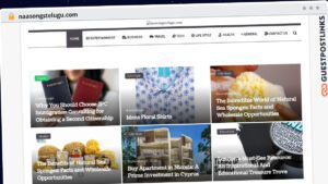 Publish Guest Post on naasongstelugu.com