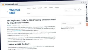 Publish Guest Post on thamelmall.com