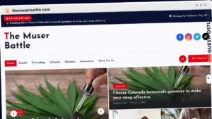Publish Guest Post on themuserbattle.com