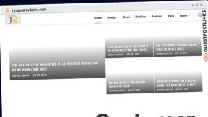 Publish Guest Post on tyngasreviews.com
