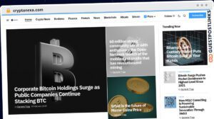 Publish Guest Post on cryptonexa.com