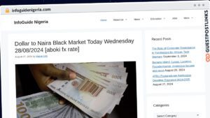 Publish Guest Post on infoguidenigeria.com