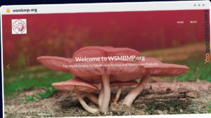 Publish Guest Post on wsmbmp.org