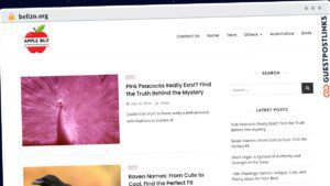 Publish Guest Post on bellzo.org