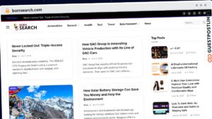 Publish Guest Post on bornsearch.com