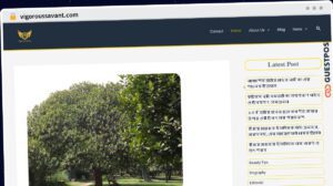 Publish Guest Post on vigoroussavant.com