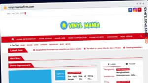 Publish Guest Post on vinylmaniafilm.com