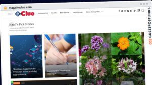 Publish Guest Post on magzineclue.com