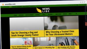 Publish Guest Post on newslibe.com