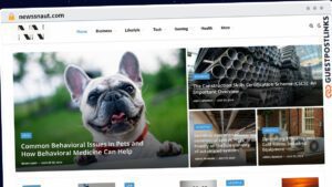 Publish Guest Post on newssnaut.com