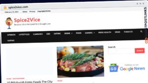 Publish Guest Post on spice2vice.com