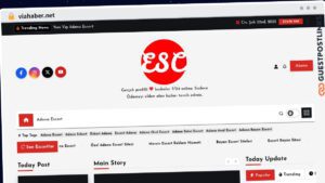 Publish Guest Post on viahaber.net