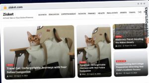 Publish Guest Post on zisket.com