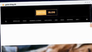 Publish Guest Post on gntm-blog.de