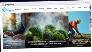 Publish Guest Post on pingoo.org
