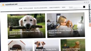 Publish Guest Post on razzedicani.net