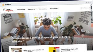 Publish Guest Post on netz.fr