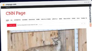 Publish Guest Post on cnnpage.com