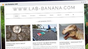 Publish Guest Post on lab-banana.com