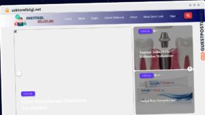 Publish Guest Post on sektorelbilgi.net