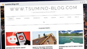 Publish Guest Post on tsumino-blog.com