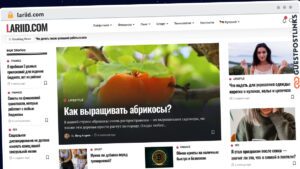 Publish Guest Post on lariid.com