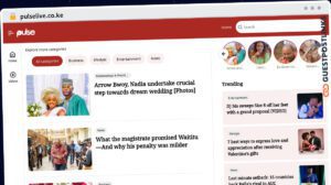 Publish Guest Post on pulselive.co.ke