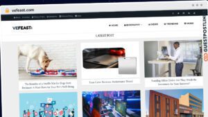 Publish Guest Post on vefeast.com