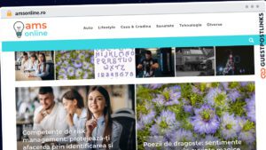 Publish Guest Post on amsonline.ro