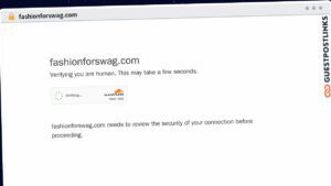 Publish Guest Post on fashionforswag.com