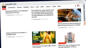 Publish Guest Post on taazavibe.com