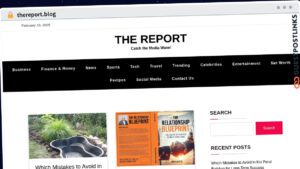 Publish Guest Post on thereport.blog