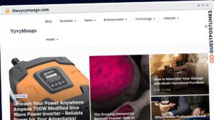 Publish Guest Post on thevyvymanga.com