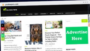 Publish Guest Post on youdoopets.com