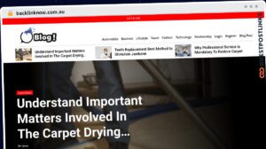 Publish Guest Post on backlinknow.com.au